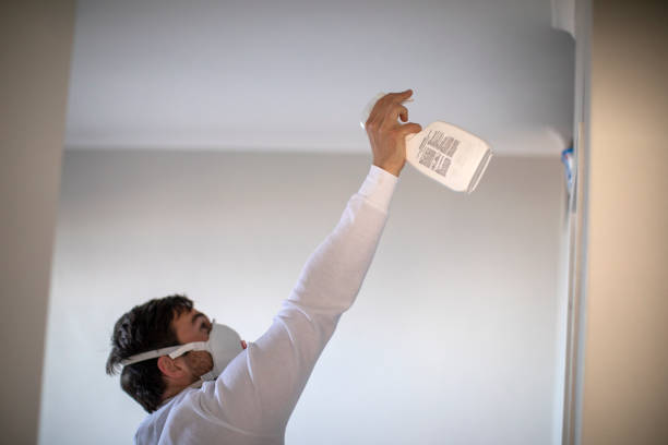 Professional Mold Remediation in Trappe, MD